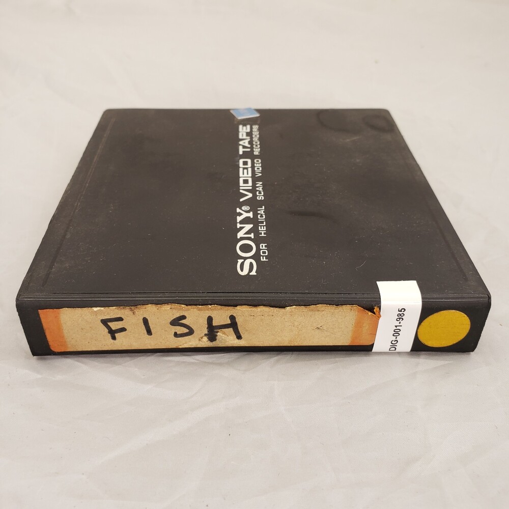 Fish