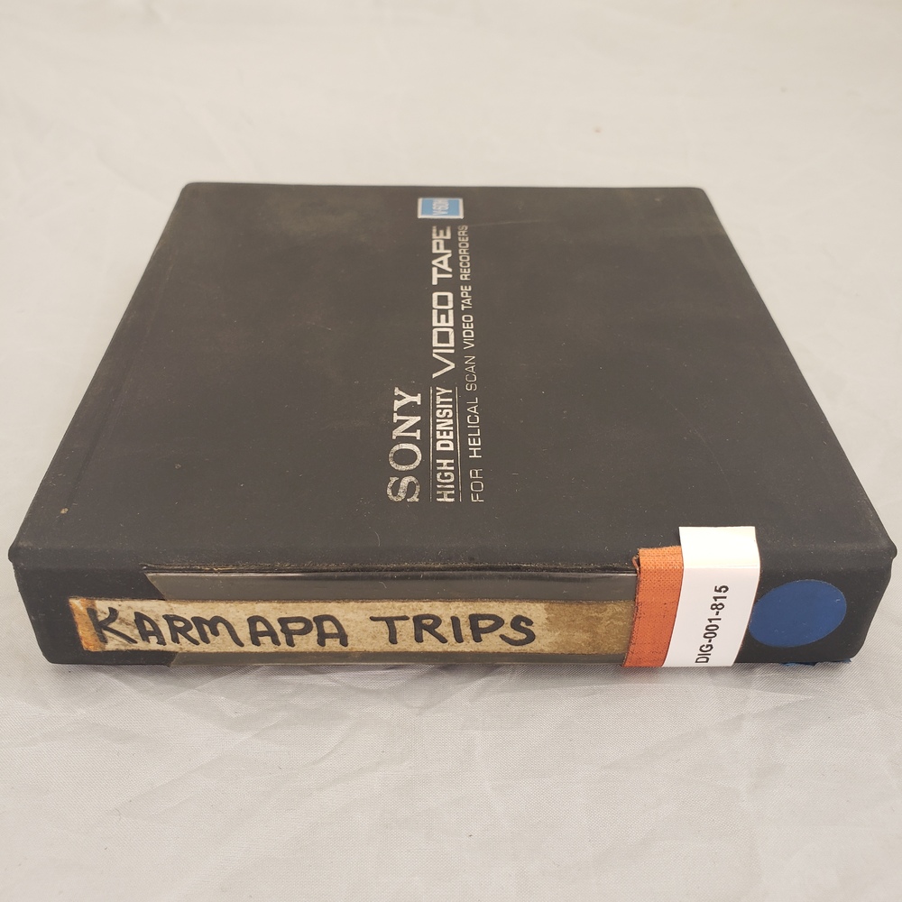 Karmapa Trips