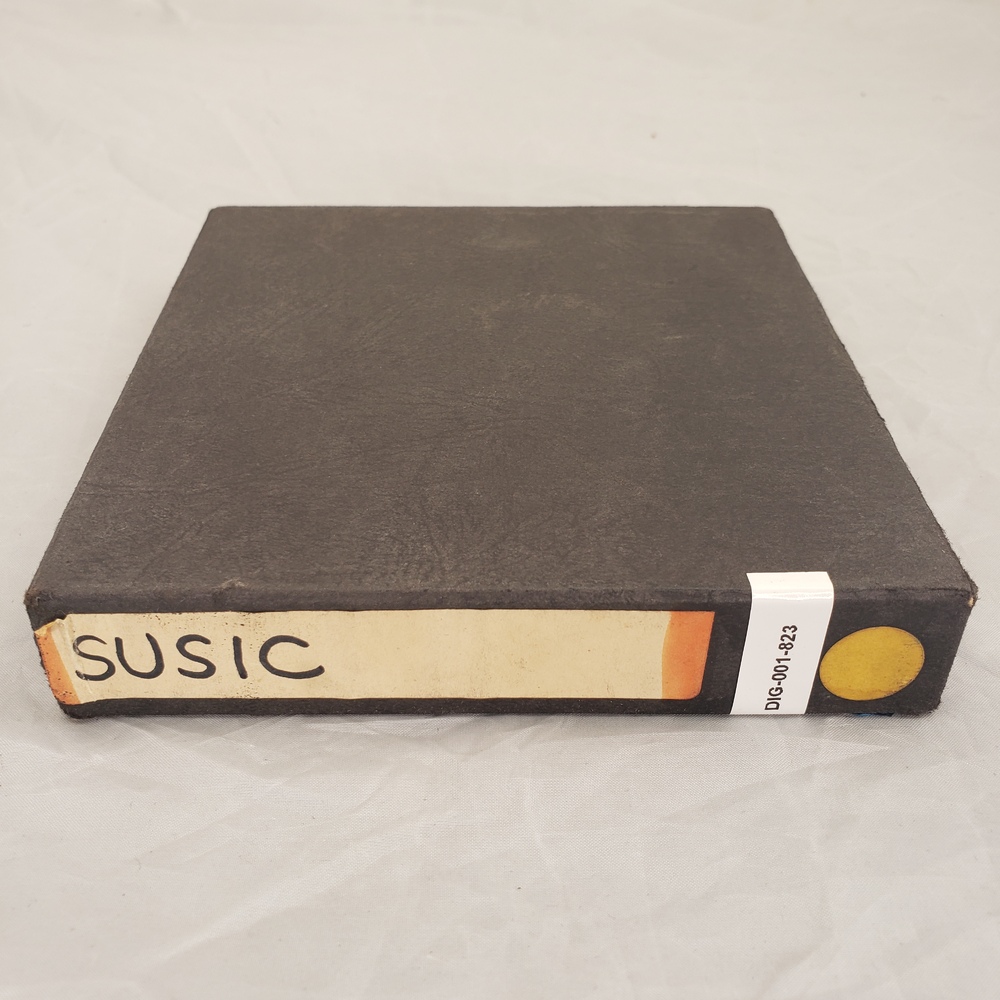 Susic