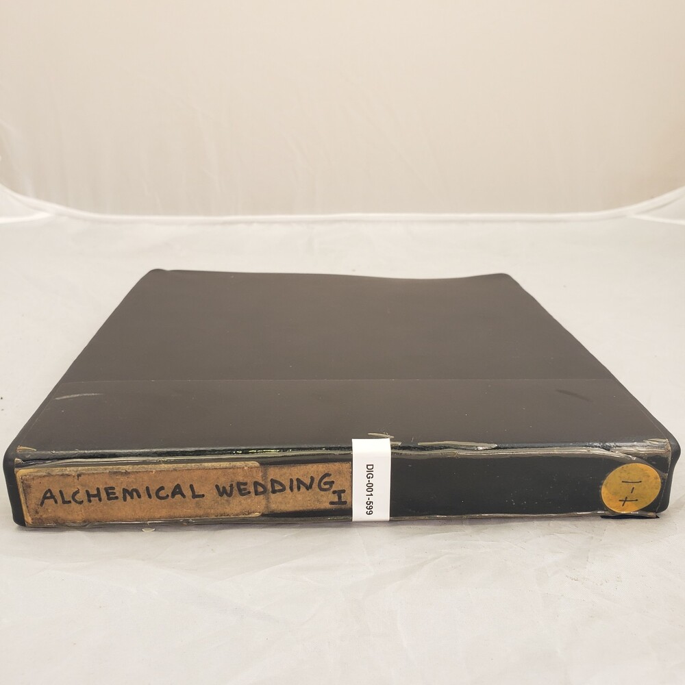Alchemical Wedding I