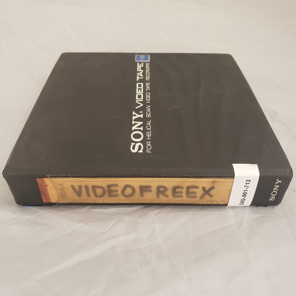 Videofreex